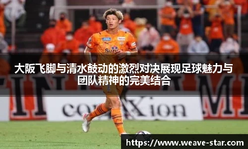 三亿体育新版本